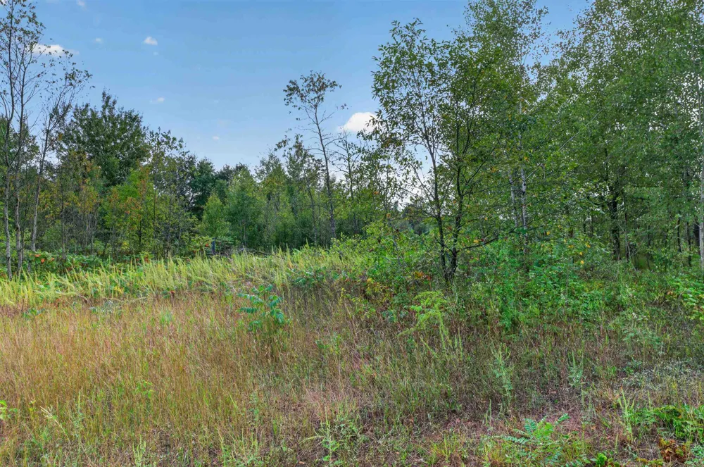 6207 Gonyer Road SW Springfield Township, MI 49633