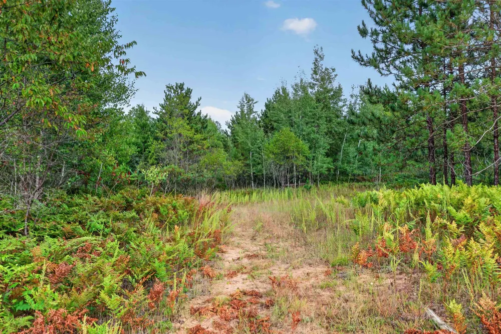 6207 Gonyer Road SW Springfield Township, MI 49633