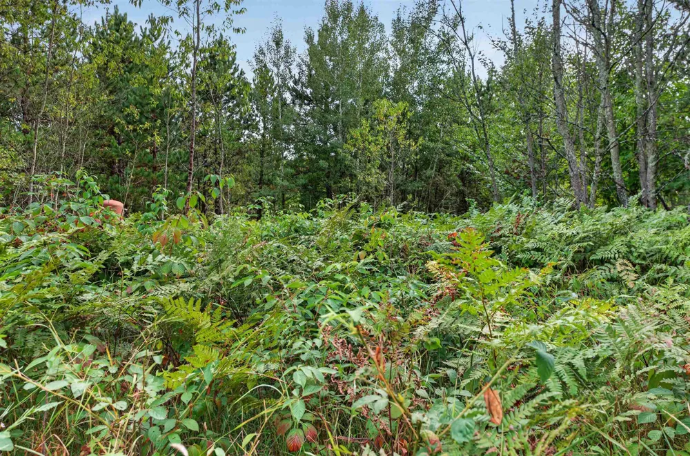 6207 Gonyer Road SW Springfield Township, MI 49633