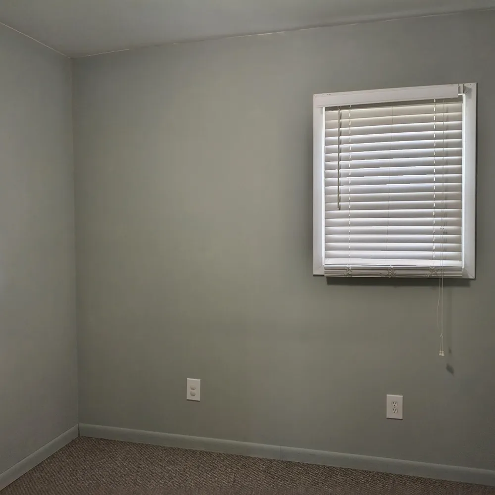 1146 Shady Shores Drive Howard Township, MI 49120