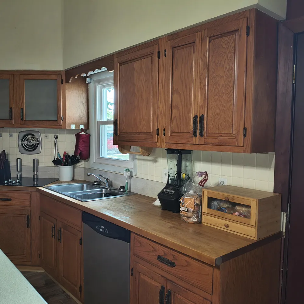 1146 Shady Shores Drive Howard Township, MI 49120