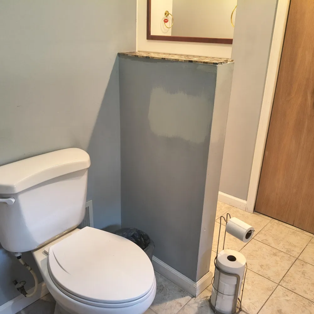 1146 Shady Shores Drive Howard Township, MI 49120