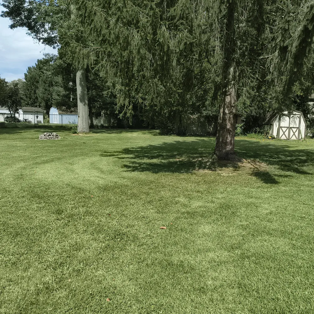 1146 Shady Shores Drive Howard Township, MI 49120