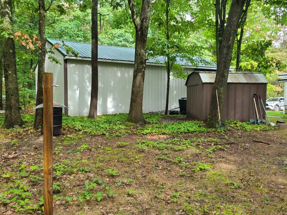 124 Osceola Ledge Drive Rose Lake Township, MI 49655