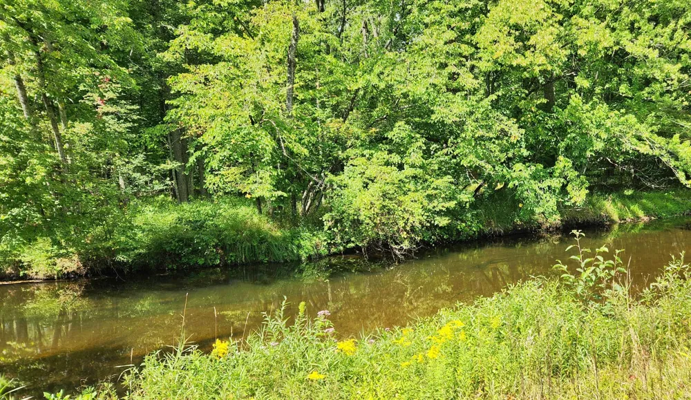 9557 E Anthony Road Logan Township, MI 49402