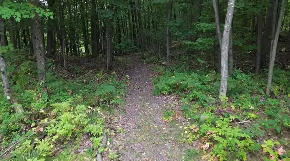 9557 E Anthony Road Logan Township, MI 49402