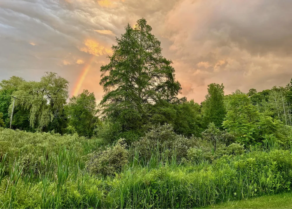 5061 Egypt Valley Avenue NE Cannon Township, MI 49306