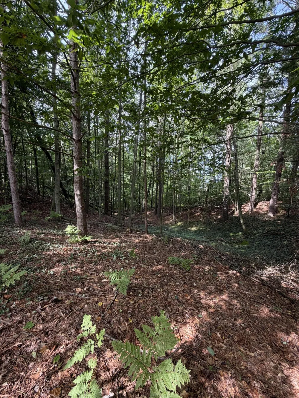 7026 Farr Road Onekama Township, MI 49675