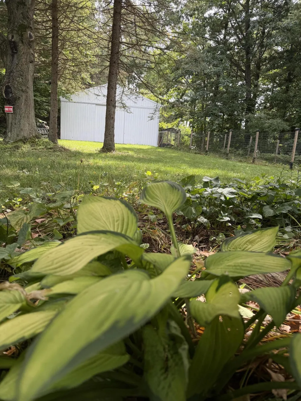7026 Farr Road Onekama Township, MI 49675