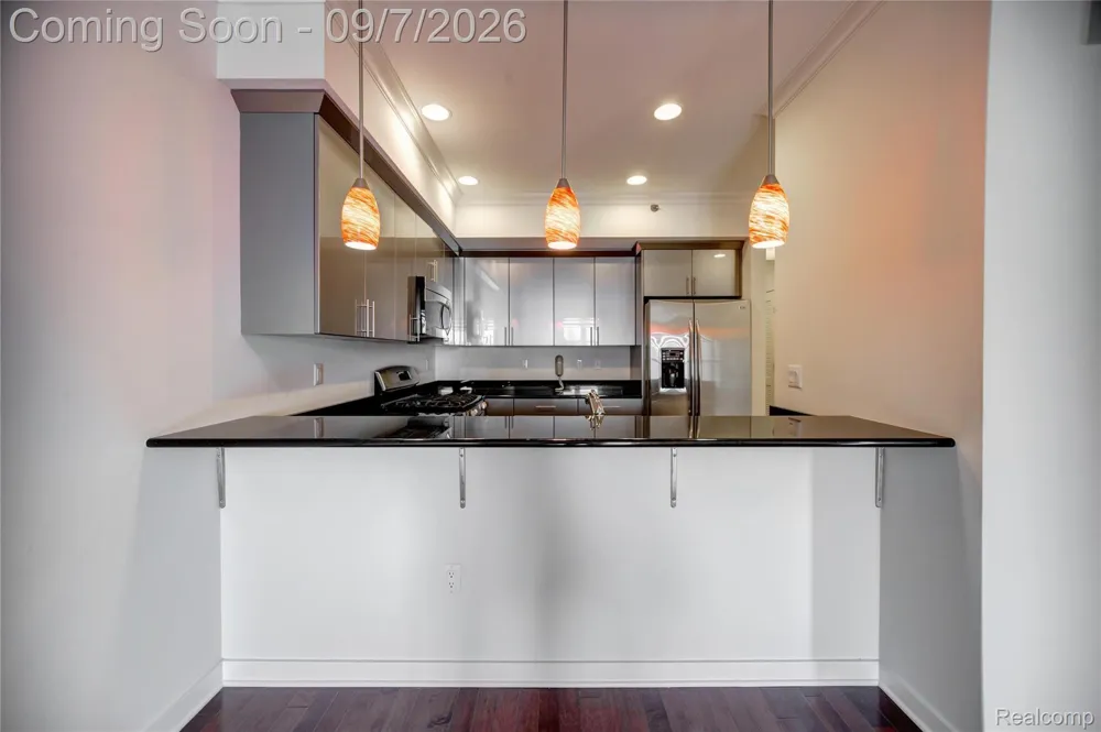 1135 SHELBY STREET #2504 Detroit City, MI 48226