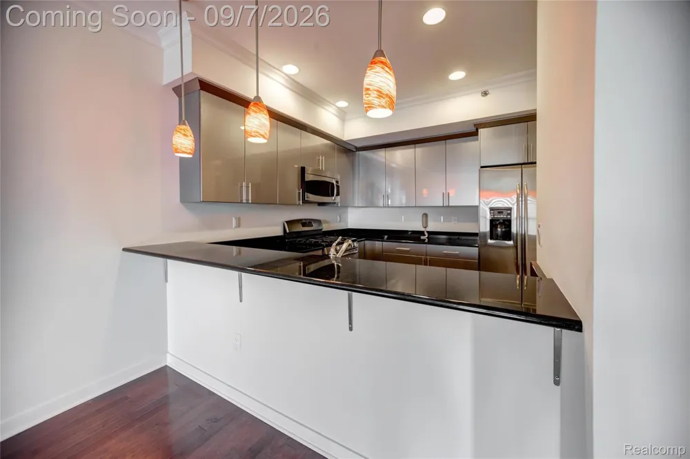 1135 SHELBY STREET #2504 Detroit City, MI 48226
