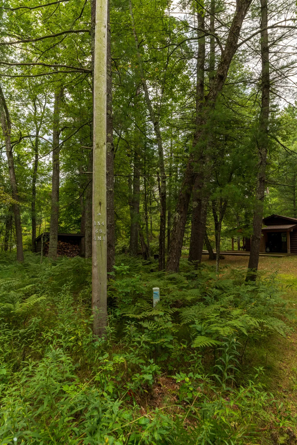 10175 S Riverbend Road Unknown, MI 49304