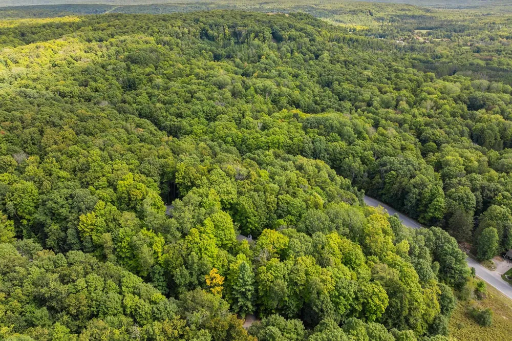 6631 Wasservalden Strasse Custer Township, MI 49615