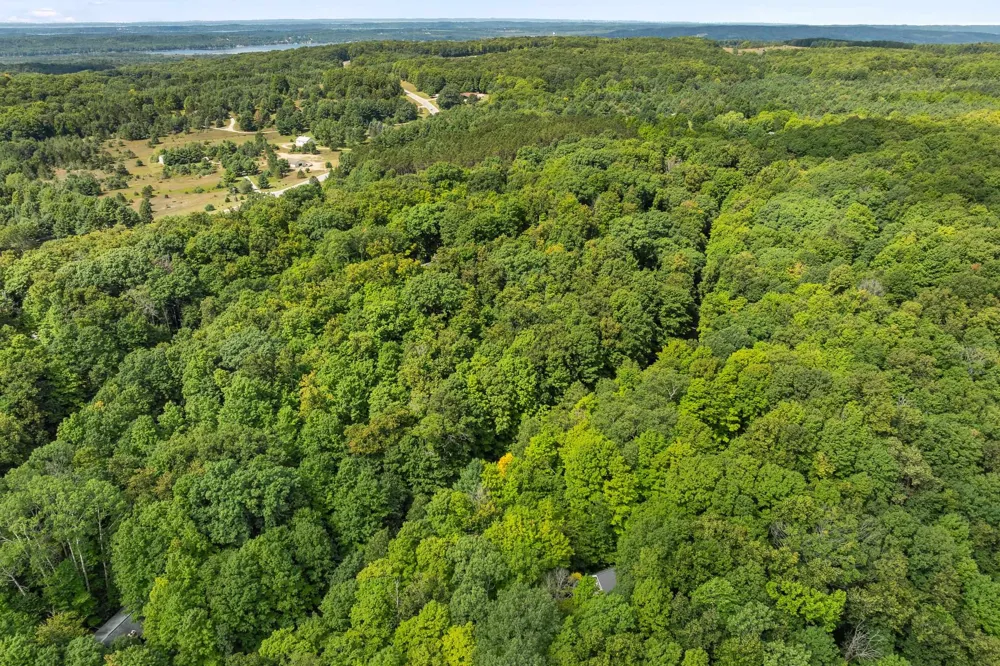 6631 Wasservalden Strasse Custer Township, MI 49615