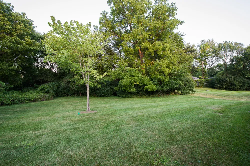 2655 Whitewood Street Ann Arbor City, MI 48104