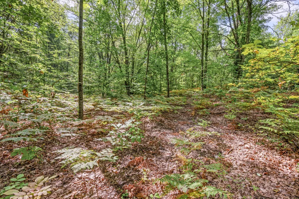 3972 115th Avenue Evart Township, MI 49631