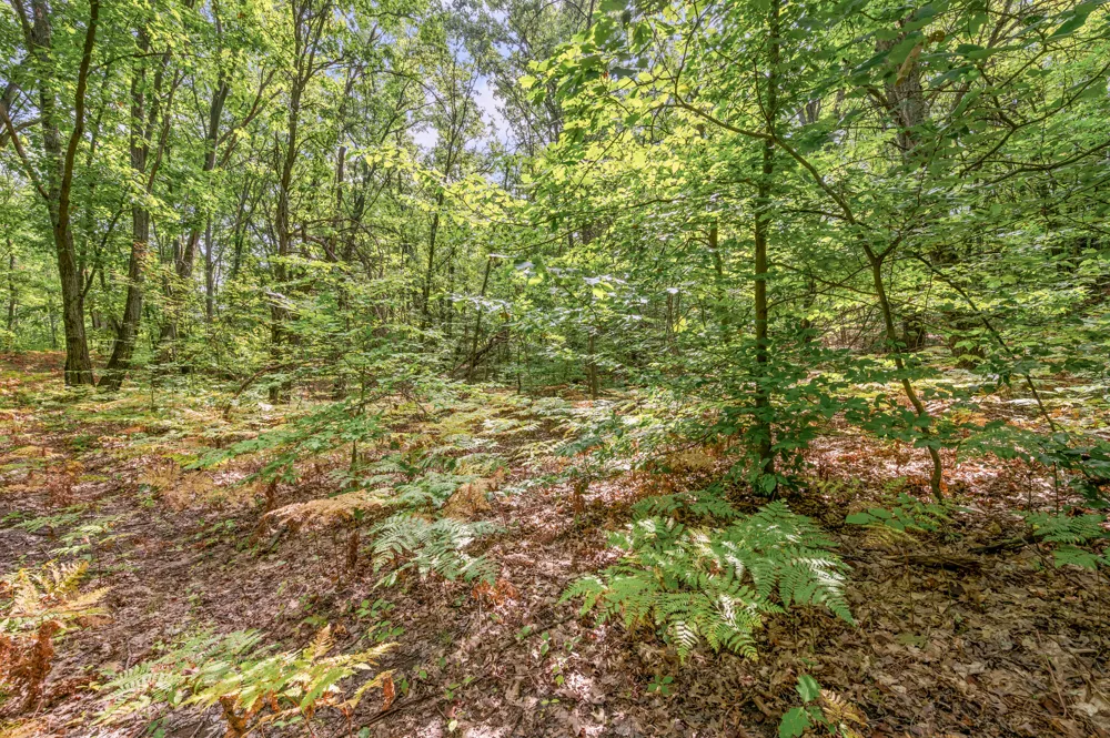 3972 115th Avenue Evart Township, MI 49631