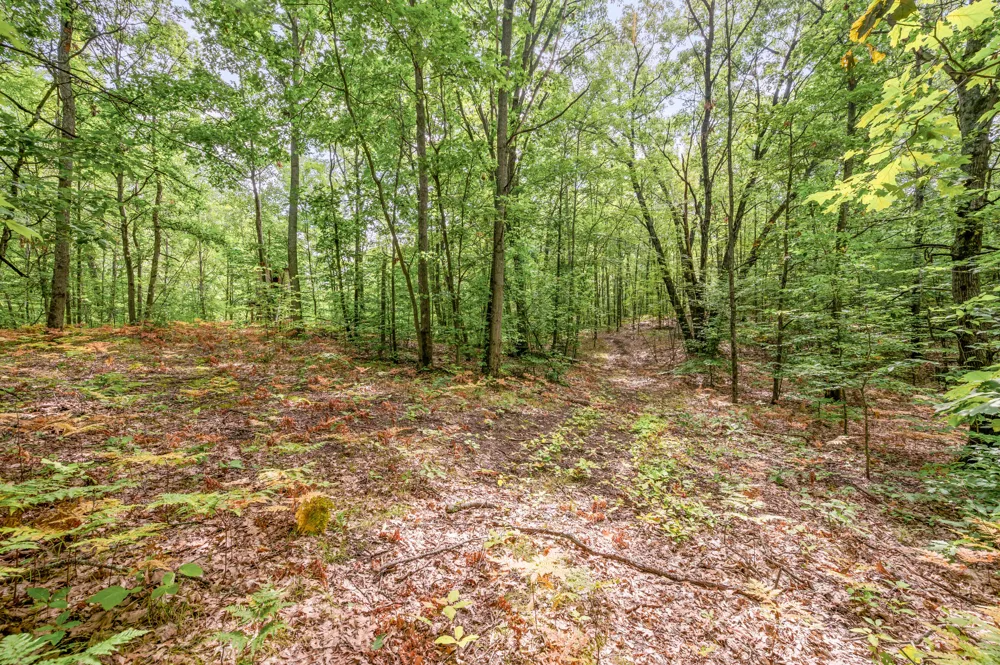 3972 115th Avenue Evart Township, MI 49631