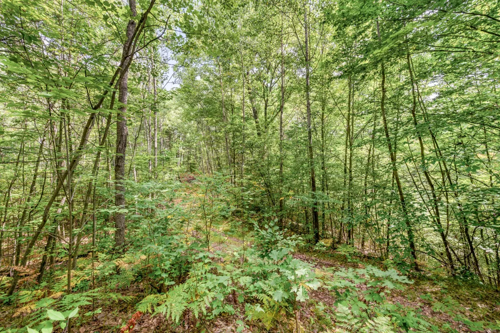 3972 115th Avenue Evart Township, MI 49631