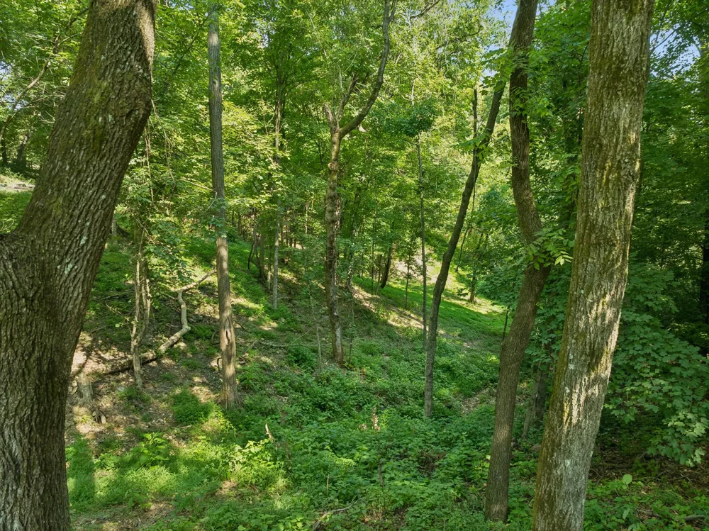 1394 Theta Pike Columbia, TN 38401