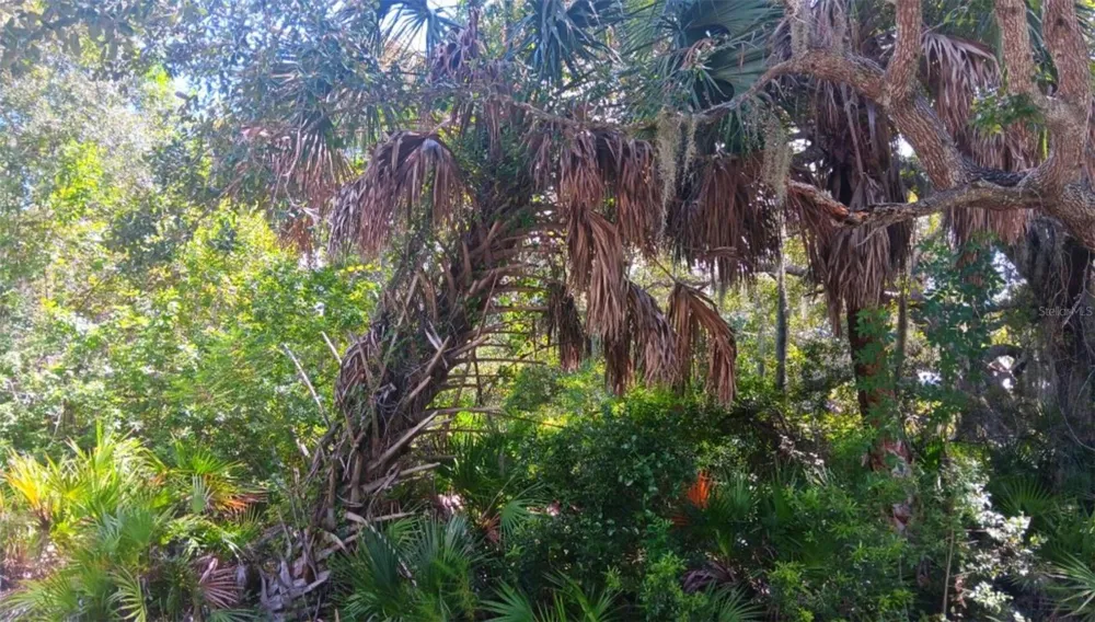 3526 MENTONE STREET Port Charlotte, FL 33980