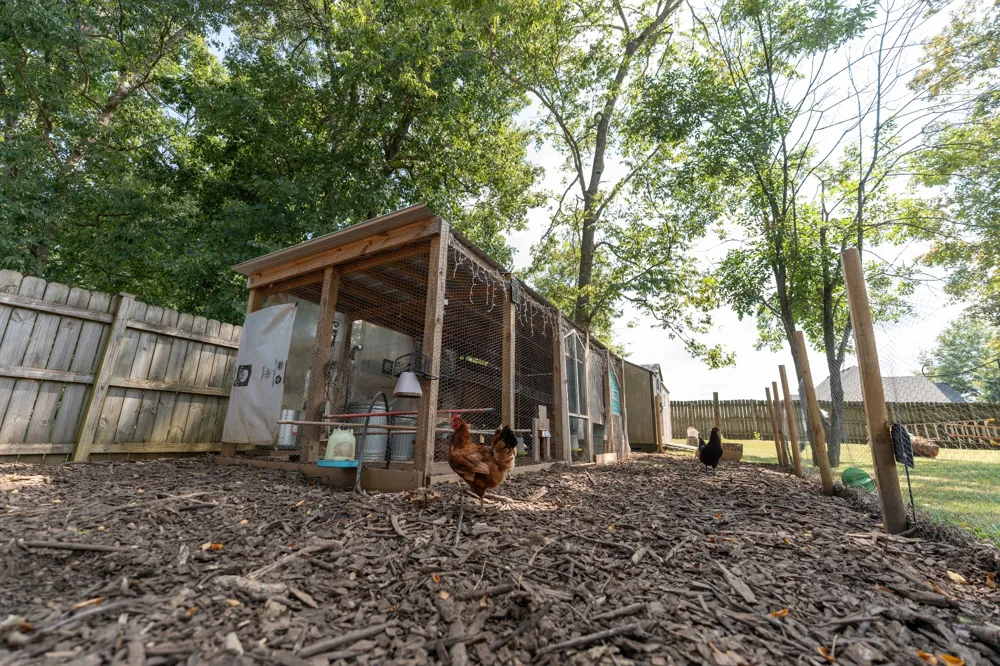 405 Long Creek Dr Christiana, TN 37037