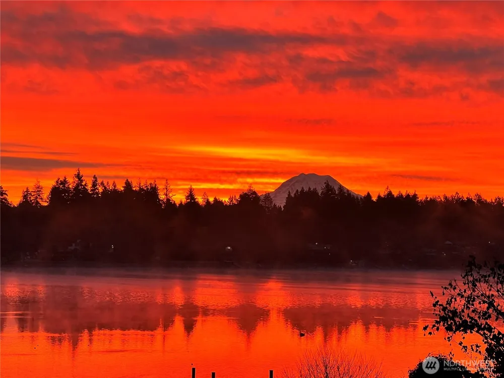 11621 Gravelly Lake Drive SW Lakewood, WA 98499