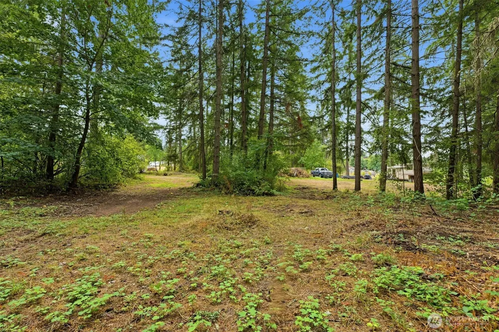 35505 37th Avenue S Roy, WA 98580