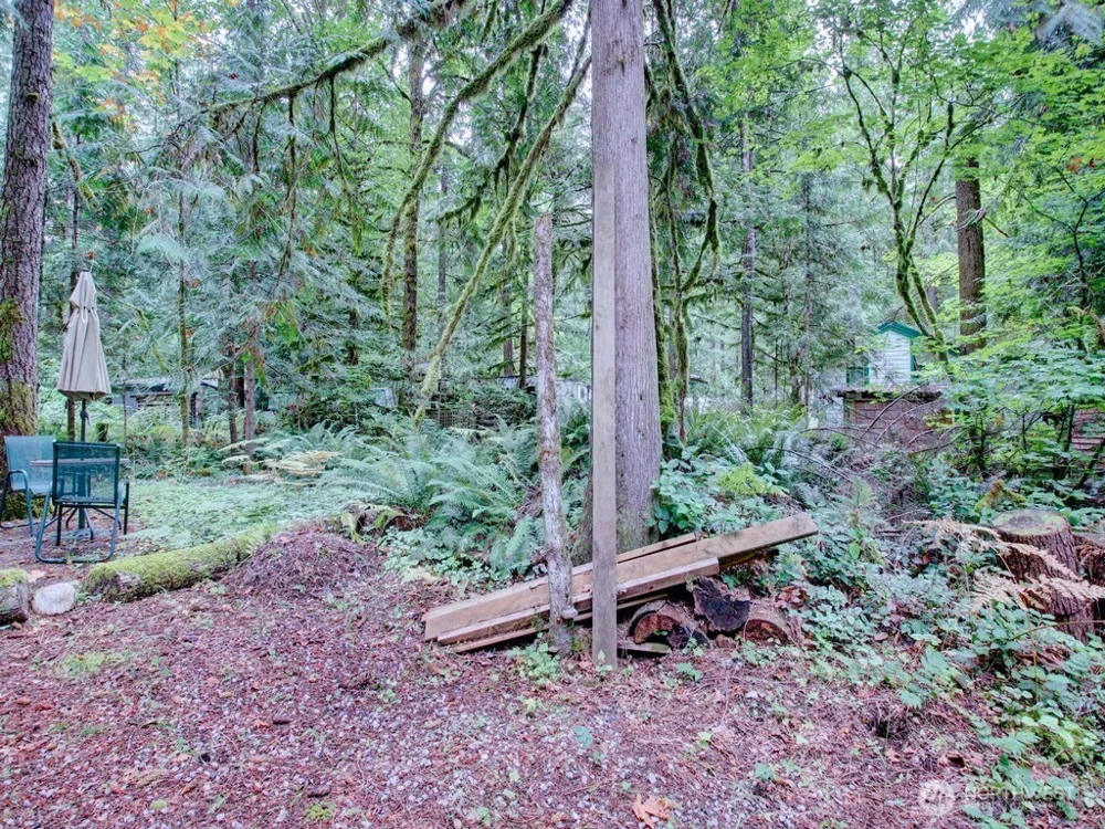 184 Fireside Lodge Circle Deming, WA 98244