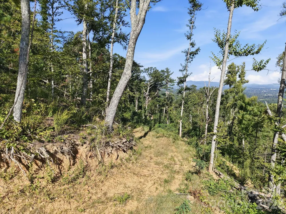 270 Upper Herron Cove Road Weaverville, NC 28787