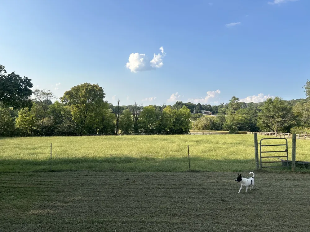 4722 Hickory Ridge Rd Lebanon, TN 37087