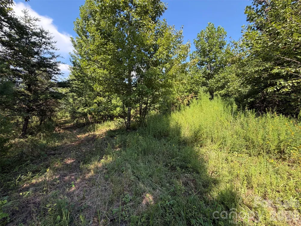 420 Southern Way Nebo, NC 28761