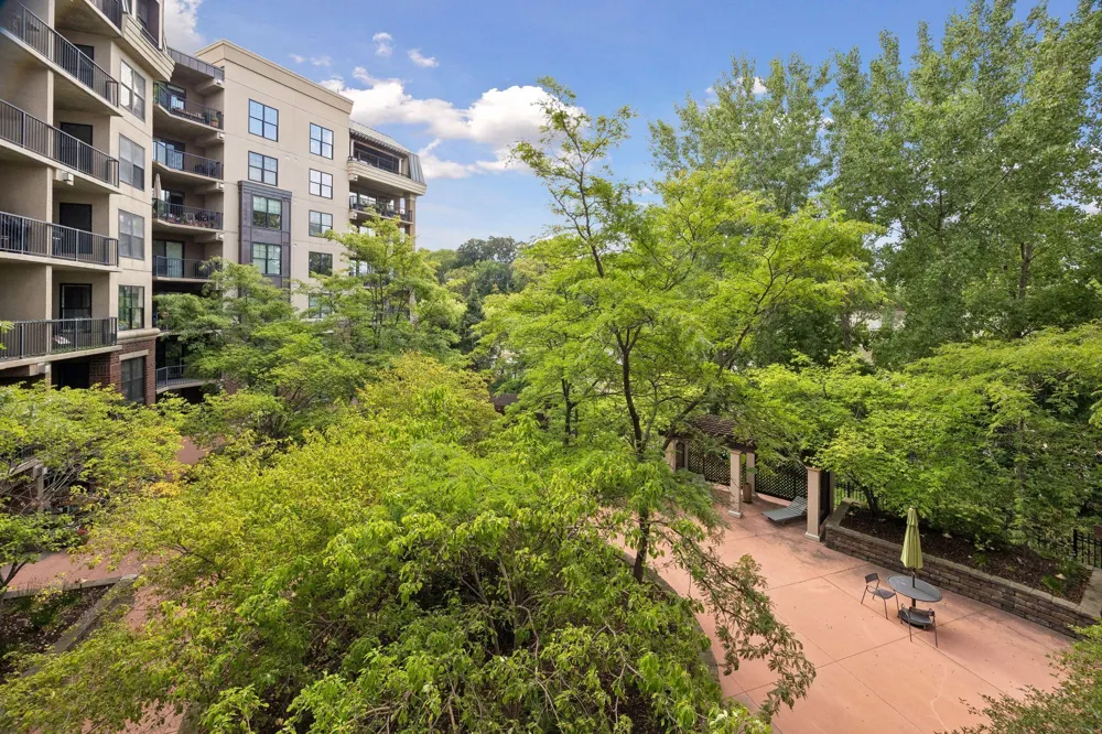 317 Groveland Avenue #311 Minneapolis, MN 55403