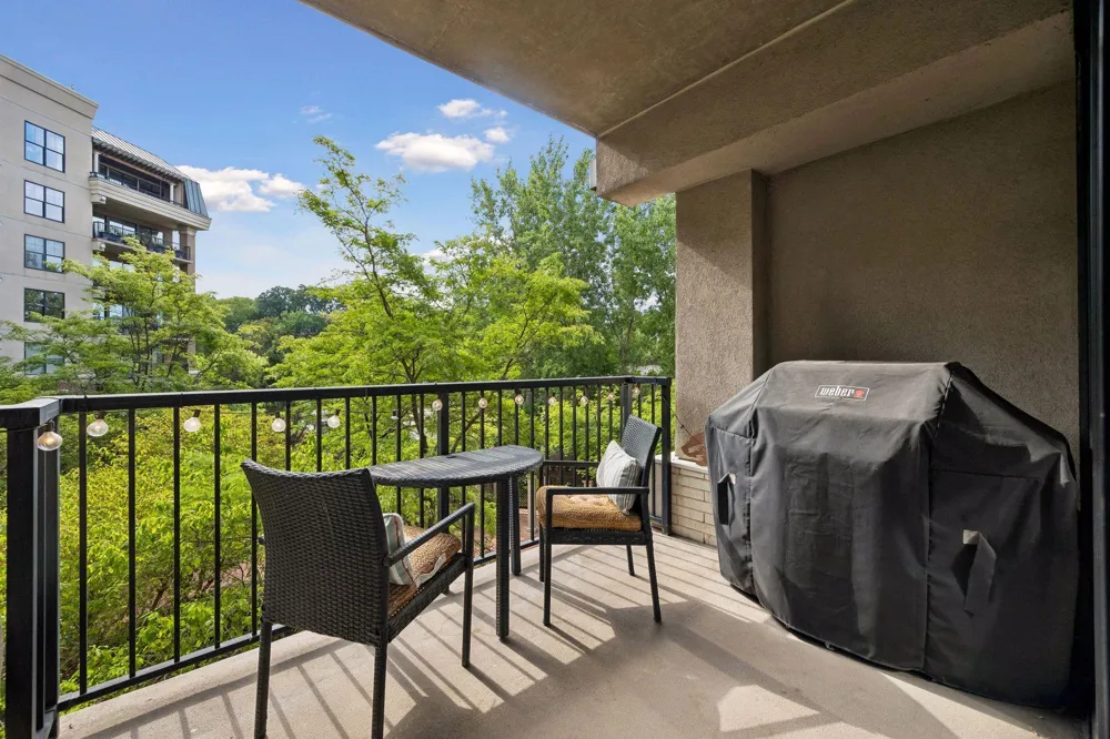 317 Groveland Avenue #311 Minneapolis, MN 55403