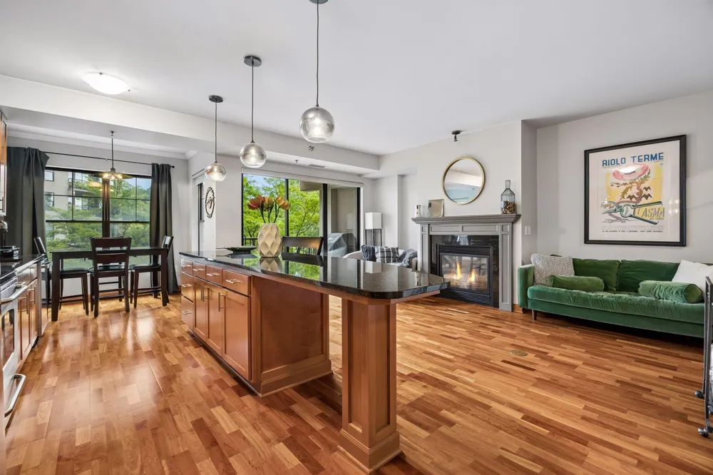 317 Groveland Avenue #311 Minneapolis, MN 55403