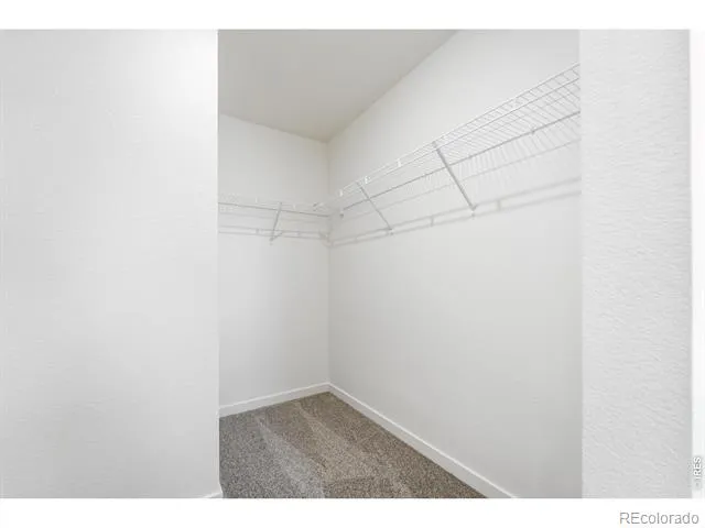240 Kiowa Trail #3 Ault, CO 80610