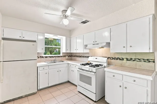 329 Vine San Antonio, TX 78210