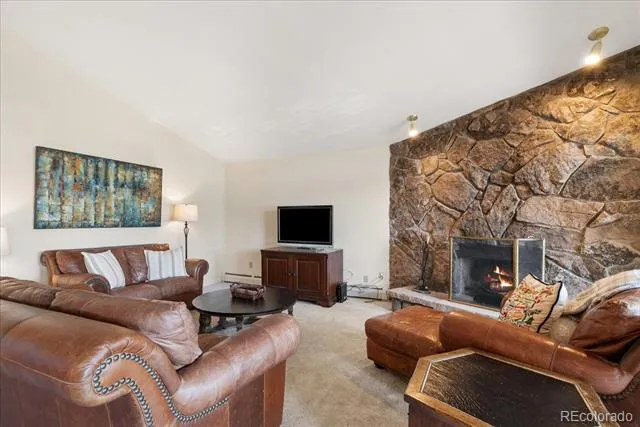 244 Lodgepole Street #33 Dillon, CO 80435