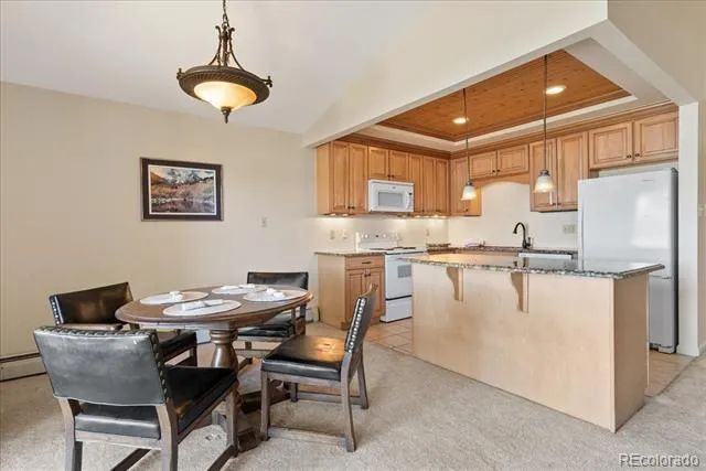 244 Lodgepole Street #33 Dillon, CO 80435