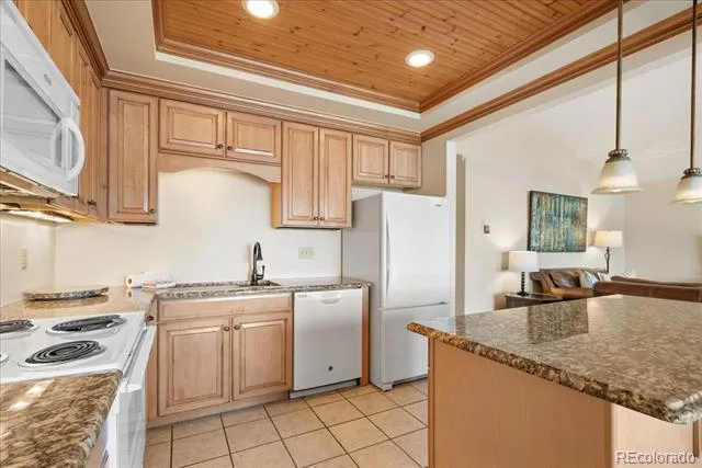 244 Lodgepole Street #33 Dillon, CO 80435