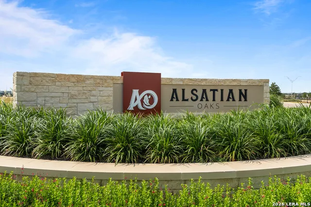 165 Mountain Oak Castroville, TX 78009