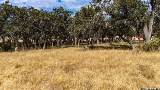 928 Annabelle Ave Bulverde, TX 78163