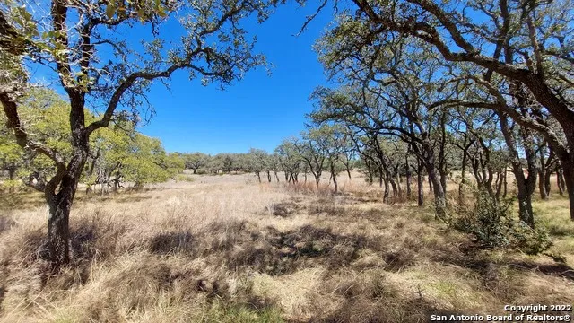 928 Annabelle Ave Bulverde, TX 78163