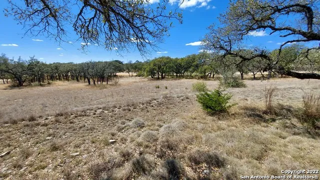 928 Annabelle Ave Bulverde, TX 78163