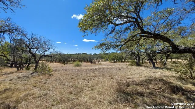 928 Annabelle Ave Bulverde, TX 78163