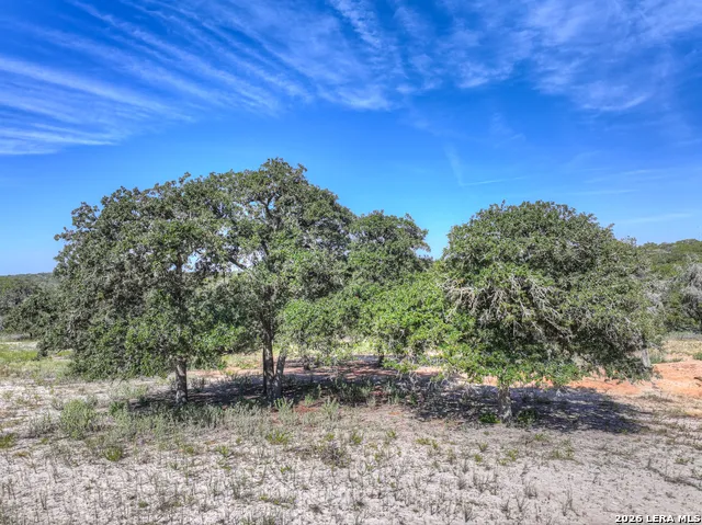 3912 Hickory Forrest Seguin, TX 78155