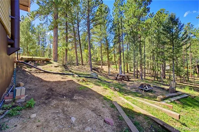 33511 Nova Road Pine, CO 80470
