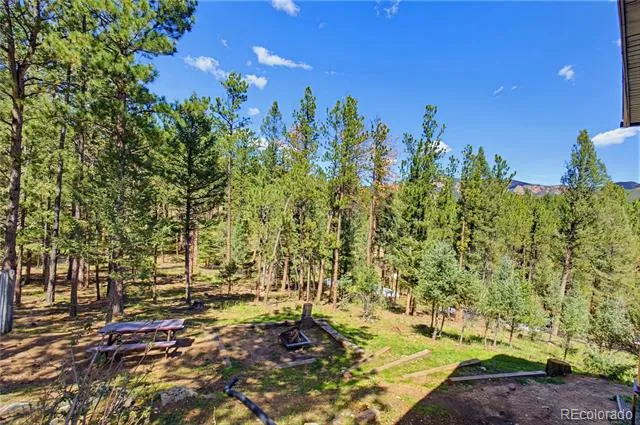 33511 Nova Road Pine, CO 80470