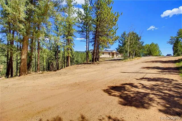 33511 Nova Road Pine, CO 80470