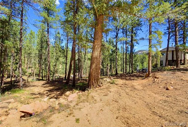 33511 Nova Road Pine, CO 80470